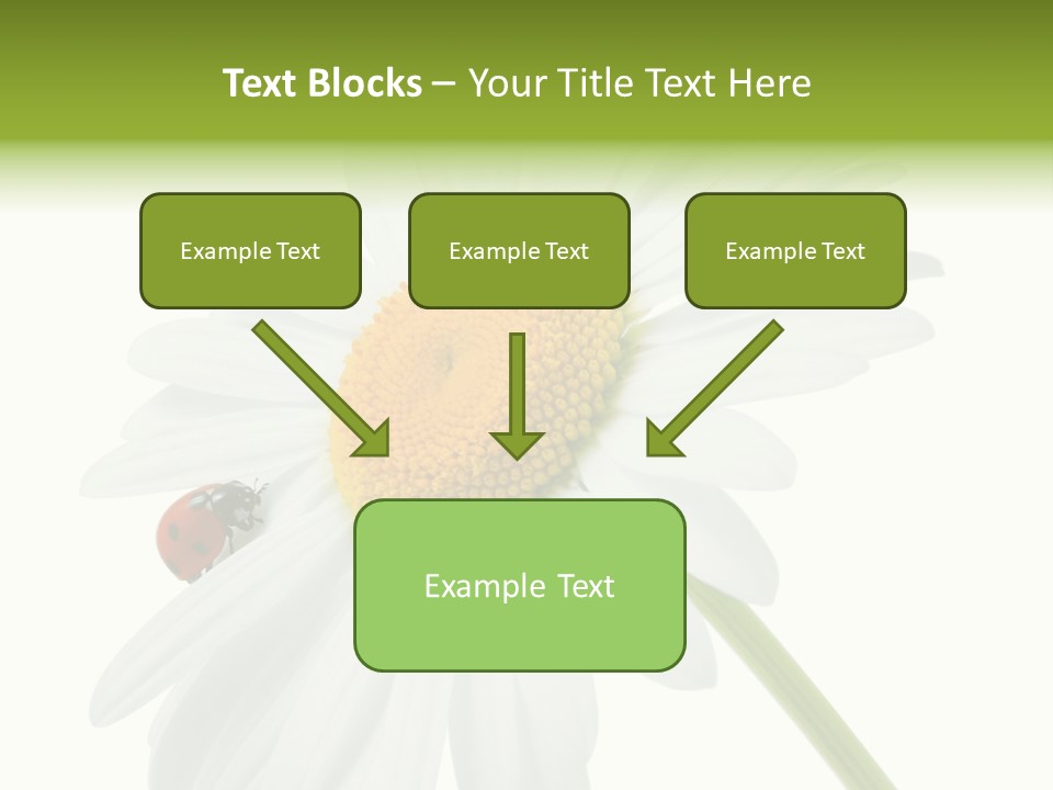 Plant Yellow Black PowerPoint Template