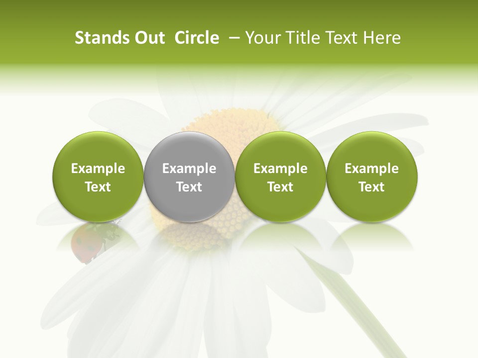 Plant Yellow Black PowerPoint Template