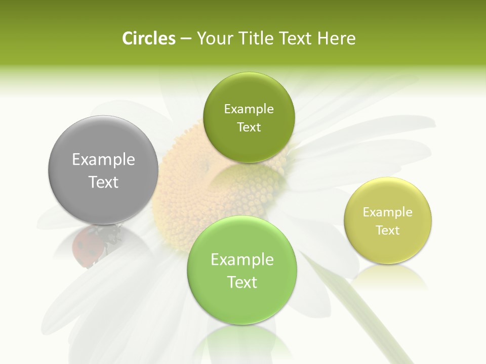 Plant Yellow Black PowerPoint Template