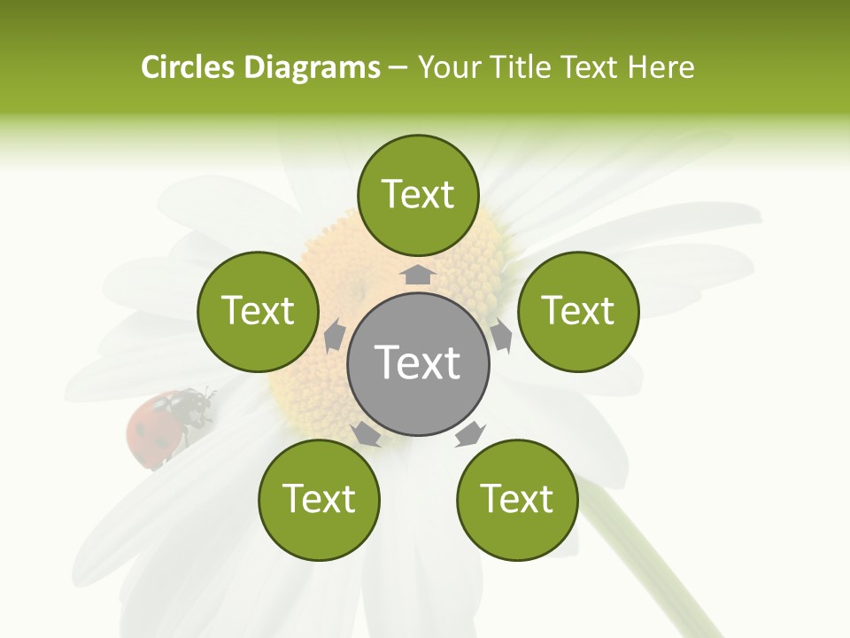 Plant Yellow Black PowerPoint Template