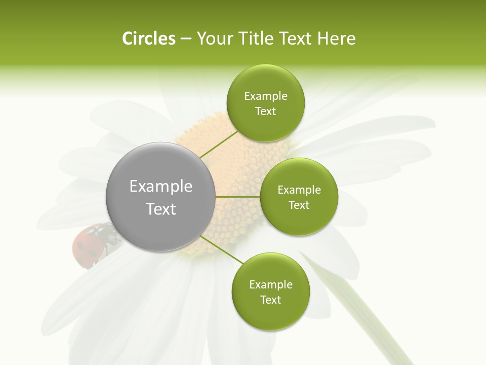 Plant Yellow Black PowerPoint Template