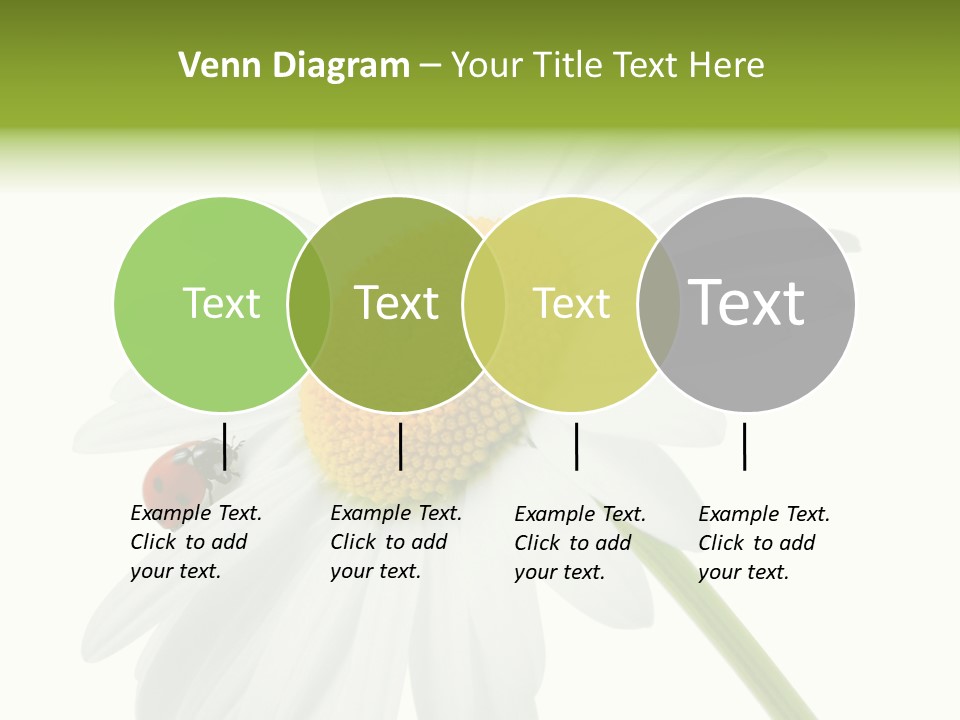 Plant Yellow Black PowerPoint Template