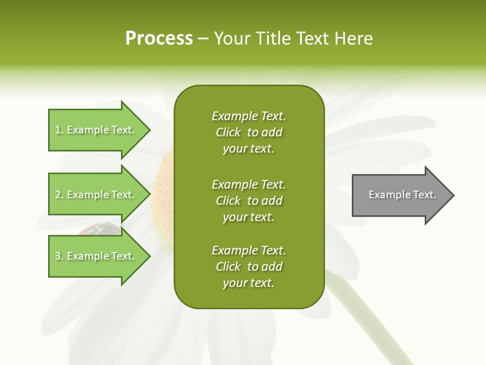 Plant Yellow Black PowerPoint Template