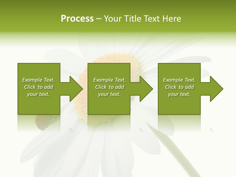 Plant Yellow Black PowerPoint Template