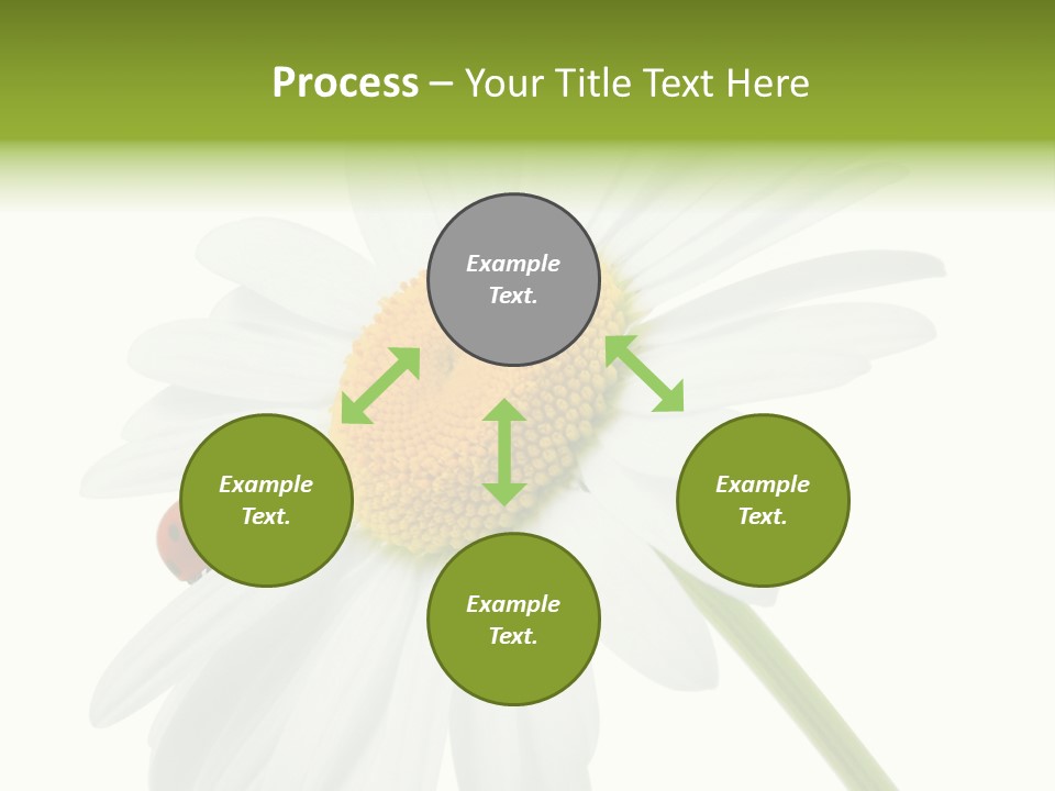 Plant Yellow Black PowerPoint Template
