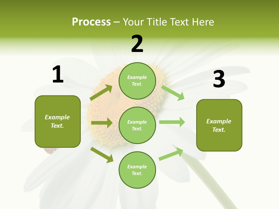 Plant Yellow Black PowerPoint Template