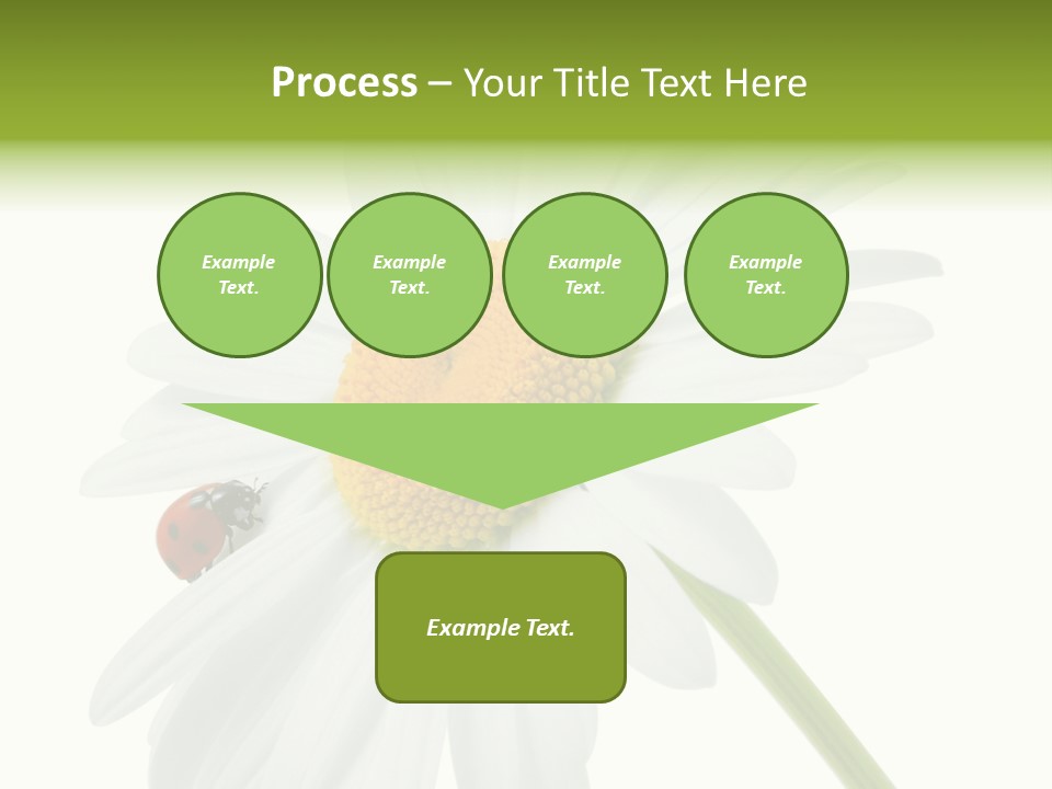 Plant Yellow Black PowerPoint Template