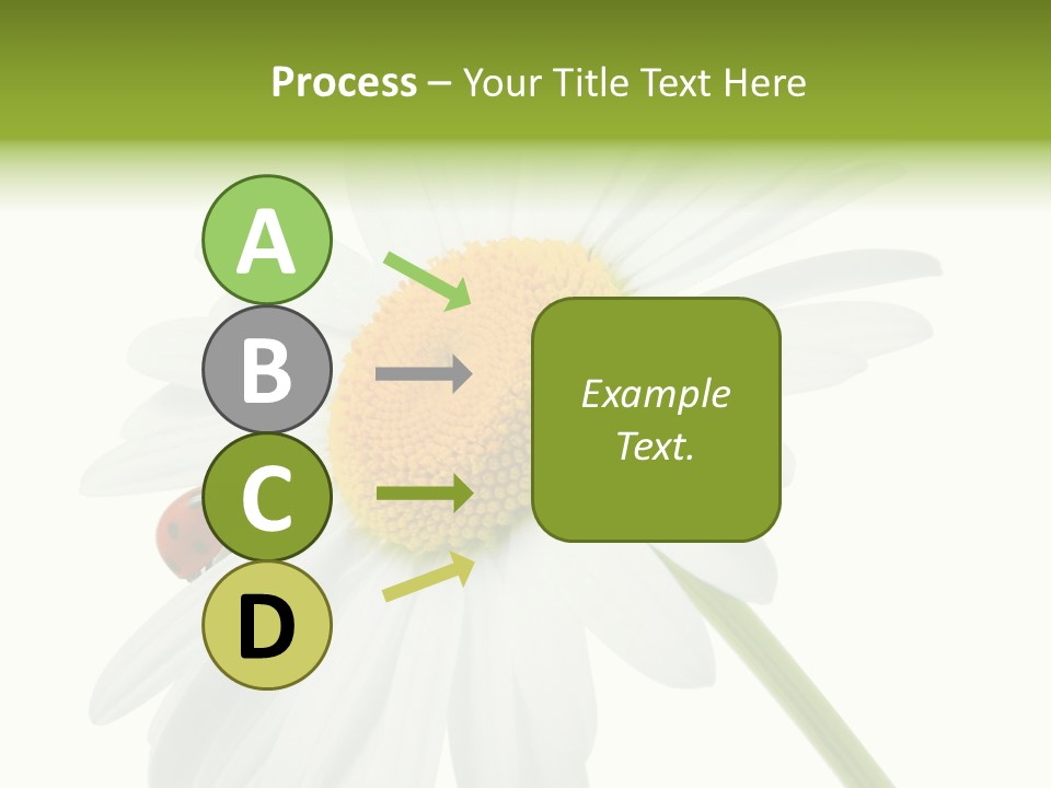 Plant Yellow Black PowerPoint Template