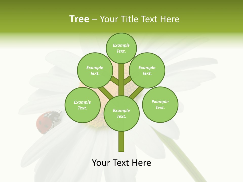 Plant Yellow Black PowerPoint Template