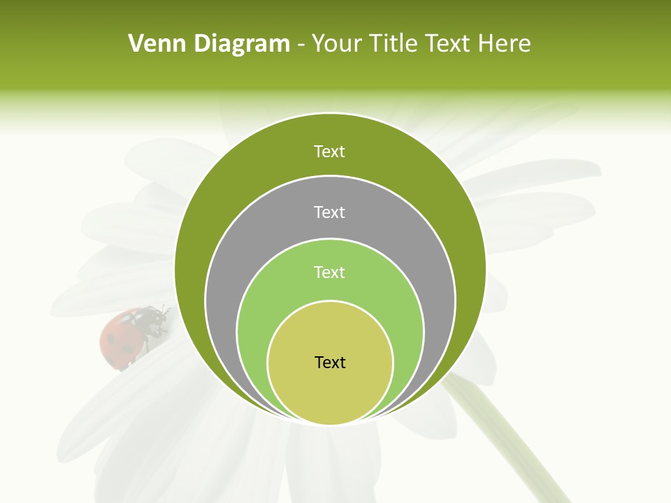 Plant Yellow Black PowerPoint Template