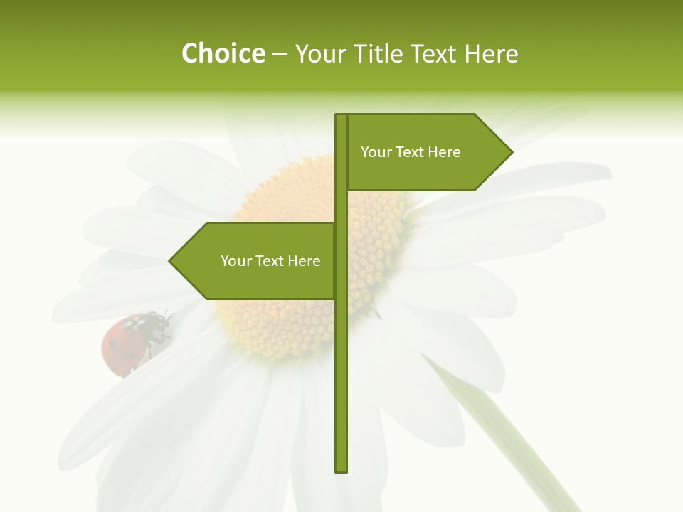 Plant Yellow Black PowerPoint Template