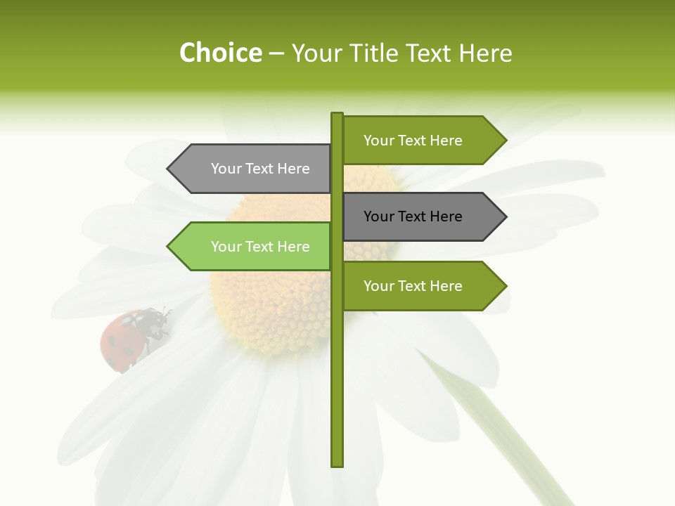 Plant Yellow Black PowerPoint Template