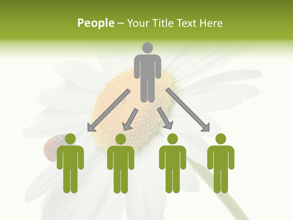 Plant Yellow Black PowerPoint Template