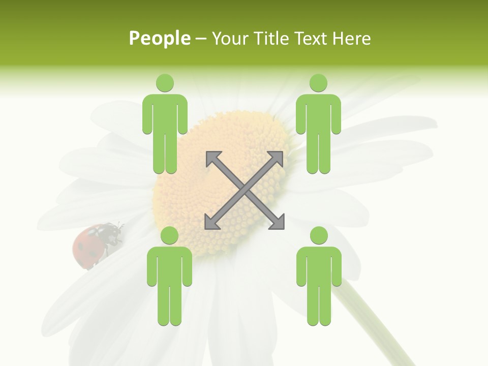 Plant Yellow Black PowerPoint Template