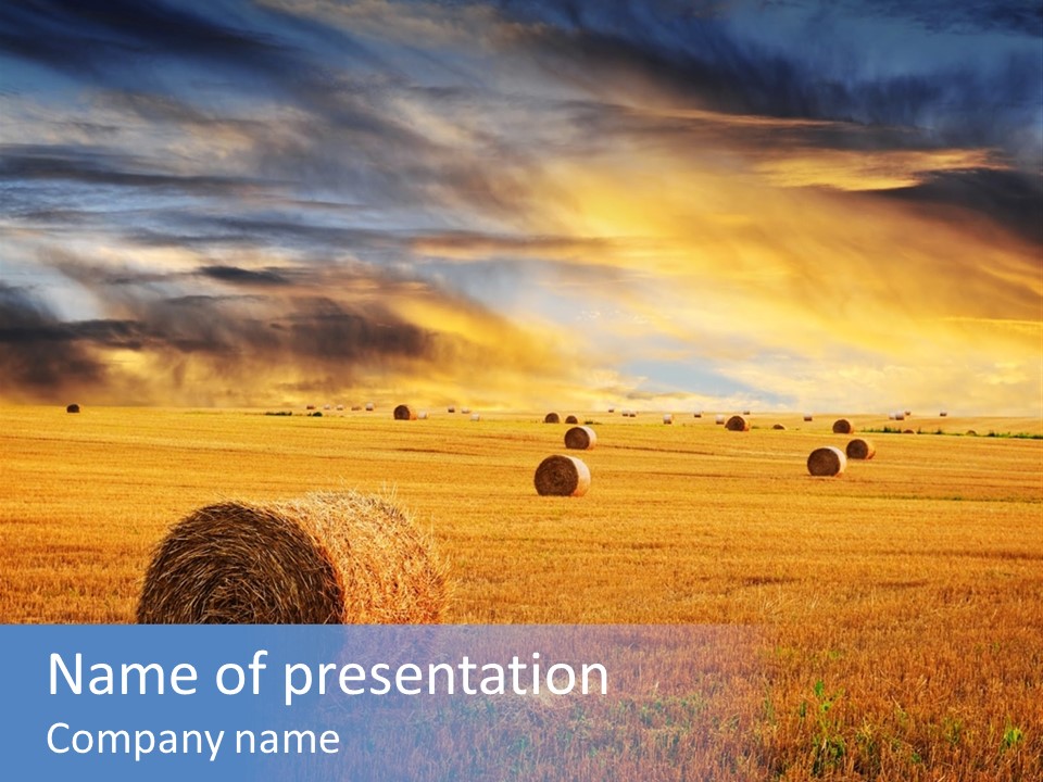 A Field Of Hay With Bales Of Hay In The Foreground PowerPoint Template