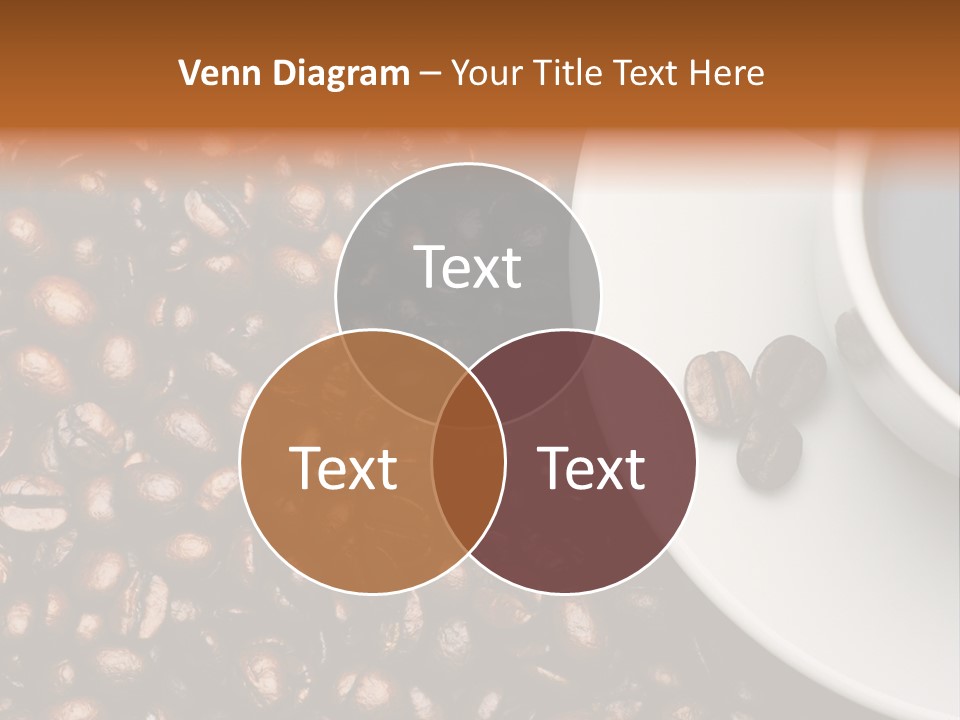 Seed Black Group PowerPoint Template