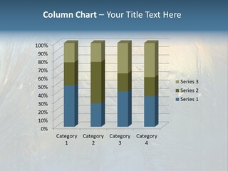 Snowflake Drop New PowerPoint Template