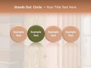 Facade Mineralwool Bricking PowerPoint Template