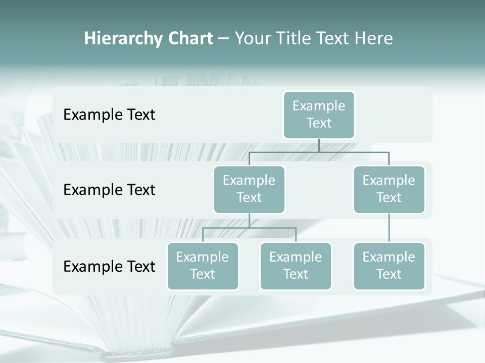 Textbook Teaching Archive PowerPoint Template
