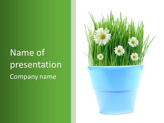 Background Fresh Detail PowerPoint Template