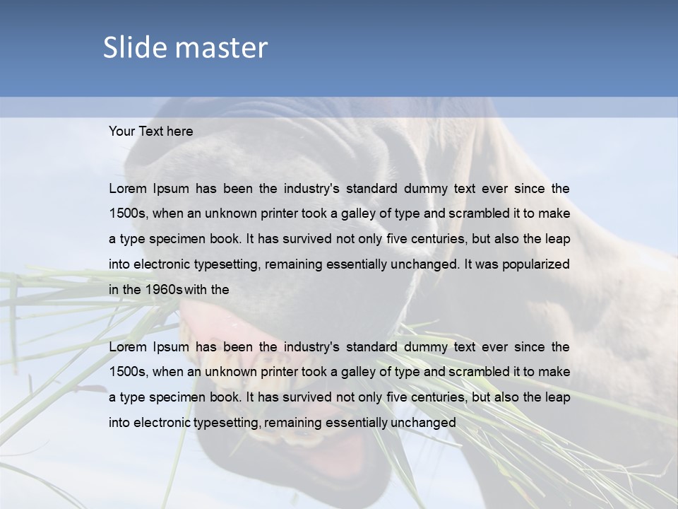 A Horse Is Eating Grass In A Field PowerPoint Template