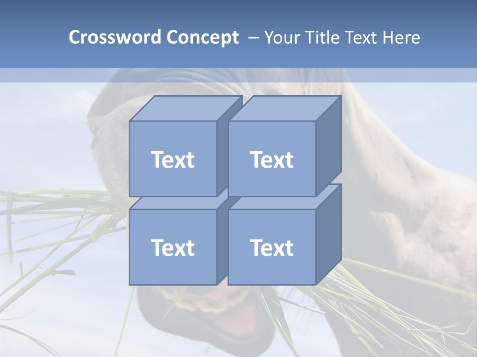 A Horse Is Eating Grass In A Field PowerPoint Template