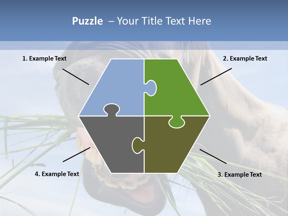 A Horse Is Eating Grass In A Field PowerPoint Template