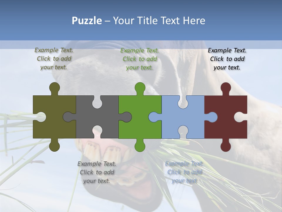 A Horse Is Eating Grass In A Field PowerPoint Template