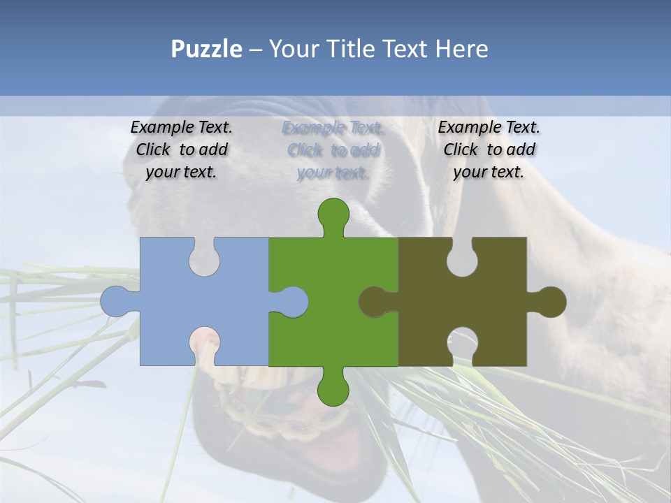 A Horse Is Eating Grass In A Field PowerPoint Template