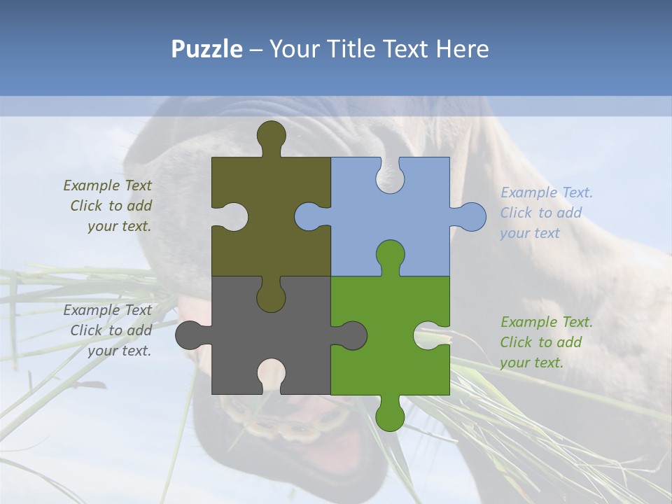 A Horse Is Eating Grass In A Field PowerPoint Template