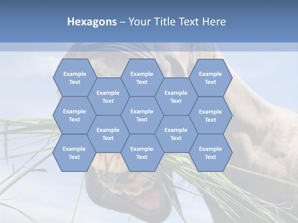 A Horse Is Eating Grass In A Field PowerPoint Template