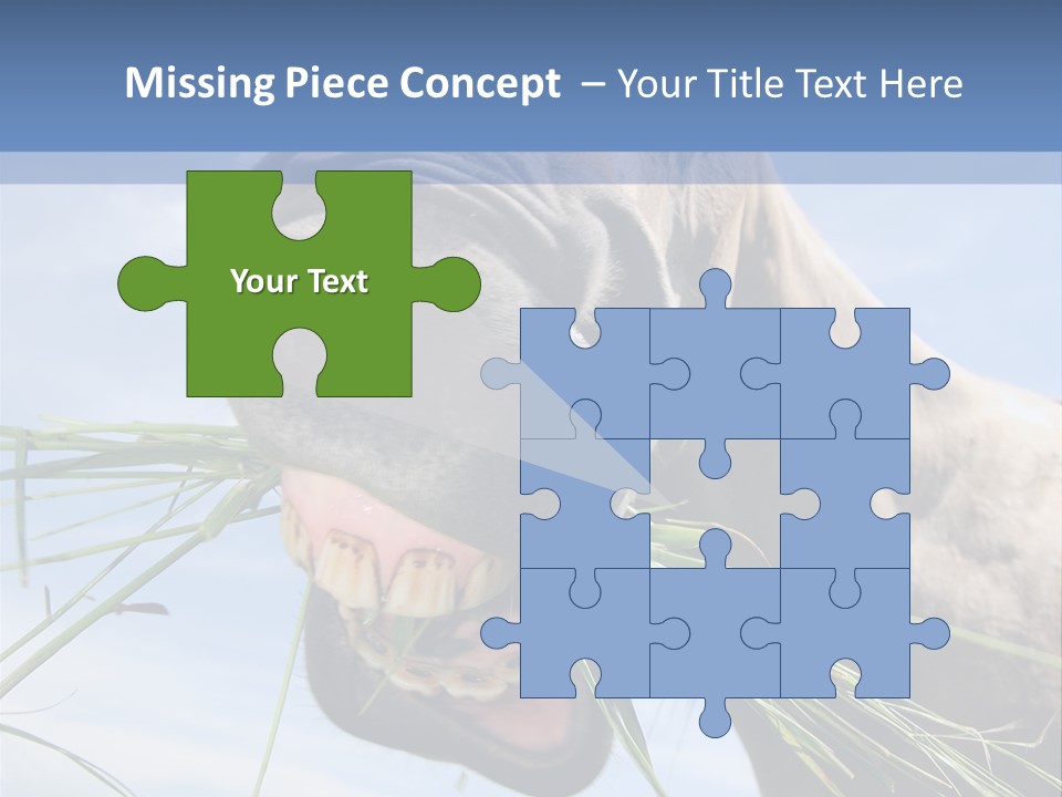 A Horse Is Eating Grass In A Field PowerPoint Template