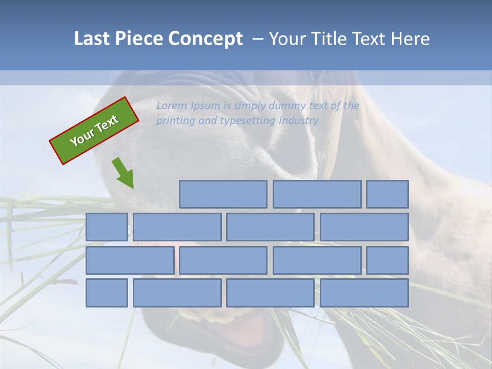 A Horse Is Eating Grass In A Field PowerPoint Template