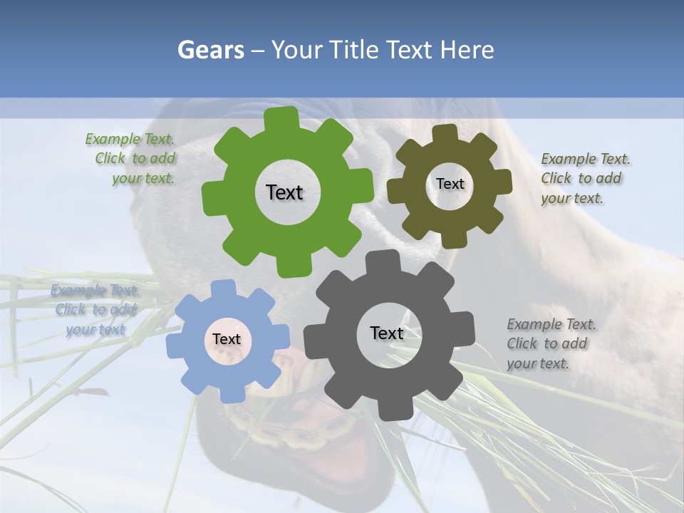 A Horse Is Eating Grass In A Field PowerPoint Template