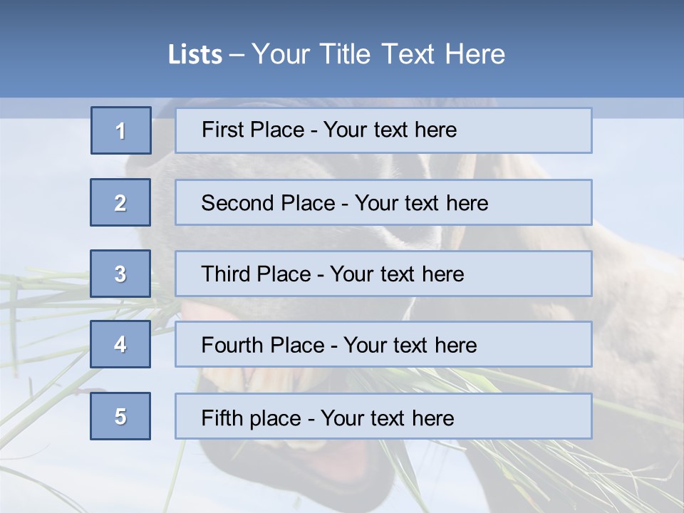 A Horse Is Eating Grass In A Field PowerPoint Template