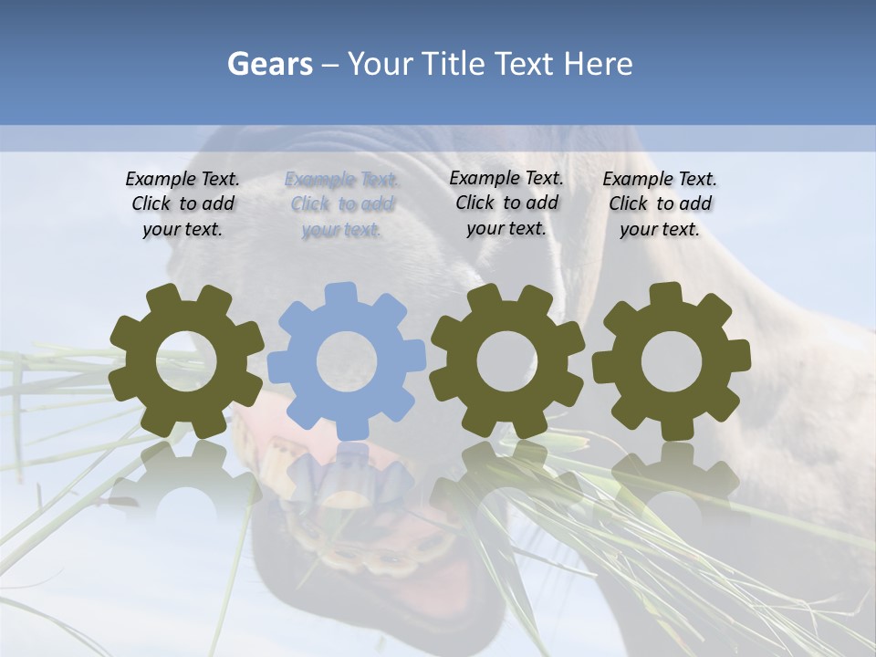 A Horse Is Eating Grass In A Field PowerPoint Template