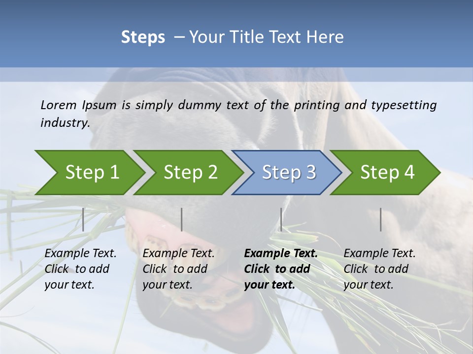 A Horse Is Eating Grass In A Field PowerPoint Template