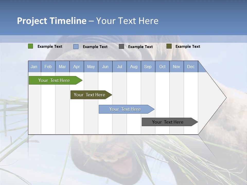 A Horse Is Eating Grass In A Field PowerPoint Template