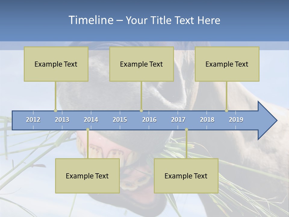 A Horse Is Eating Grass In A Field PowerPoint Template