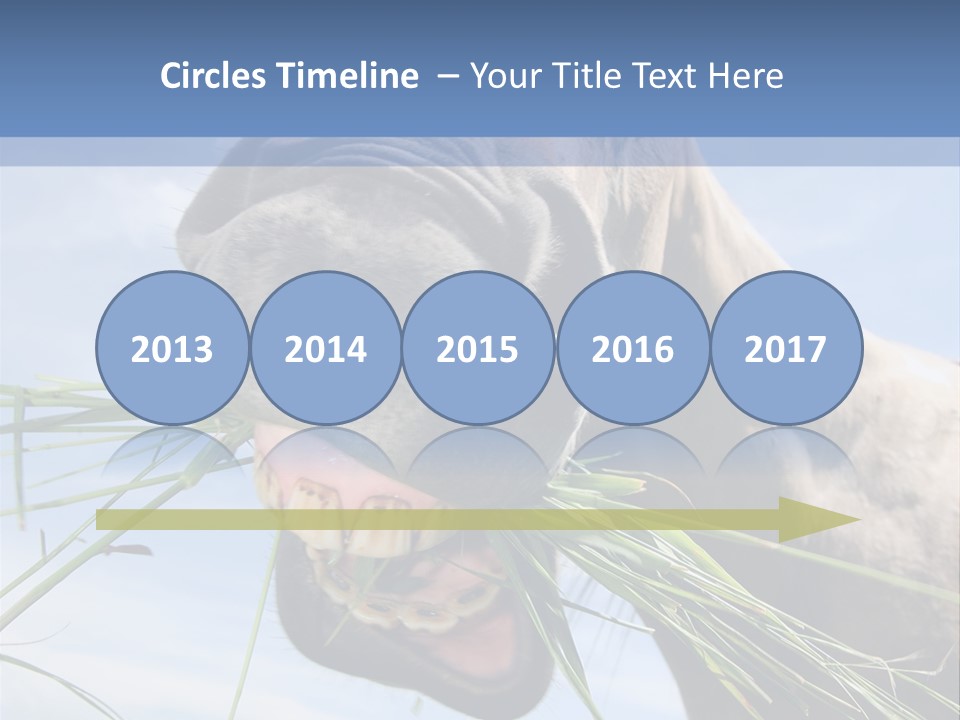 A Horse Is Eating Grass In A Field PowerPoint Template