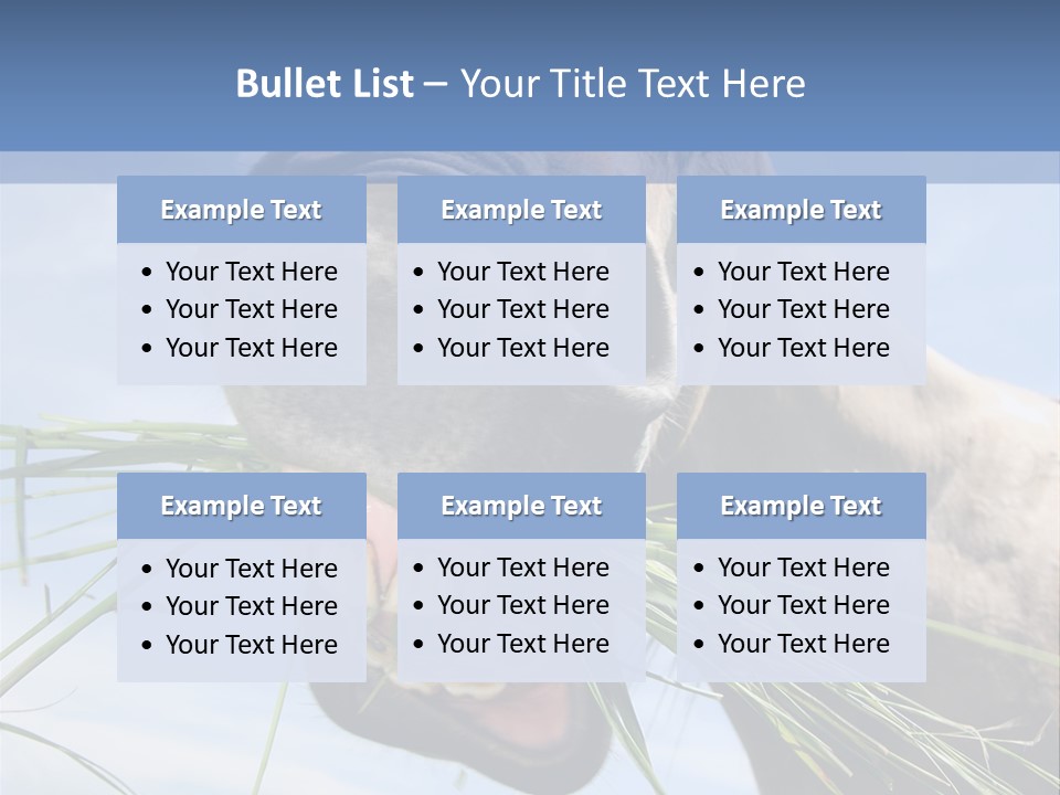 A Horse Is Eating Grass In A Field PowerPoint Template