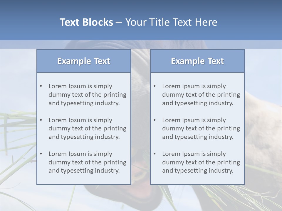 A Horse Is Eating Grass In A Field PowerPoint Template