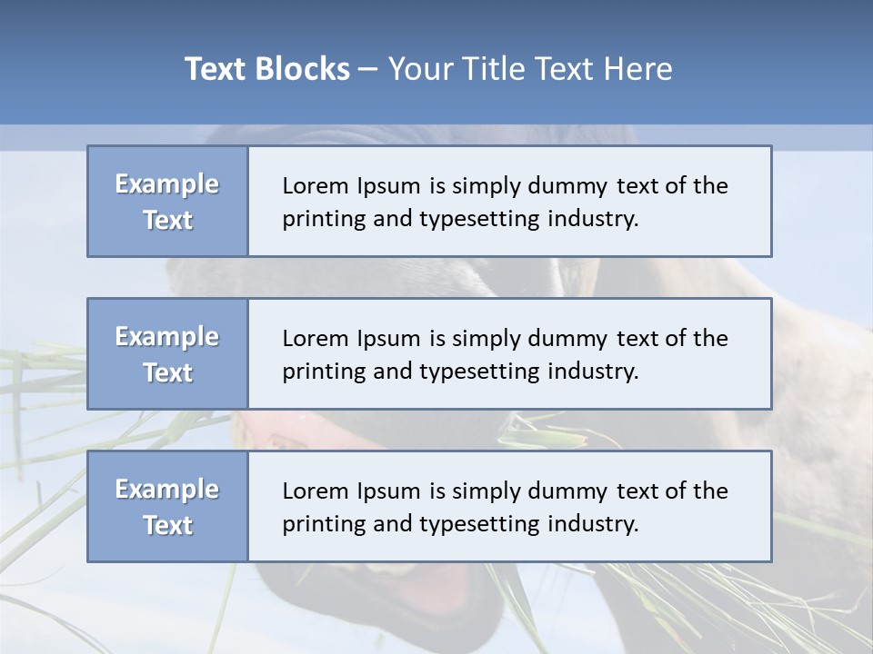 A Horse Is Eating Grass In A Field PowerPoint Template