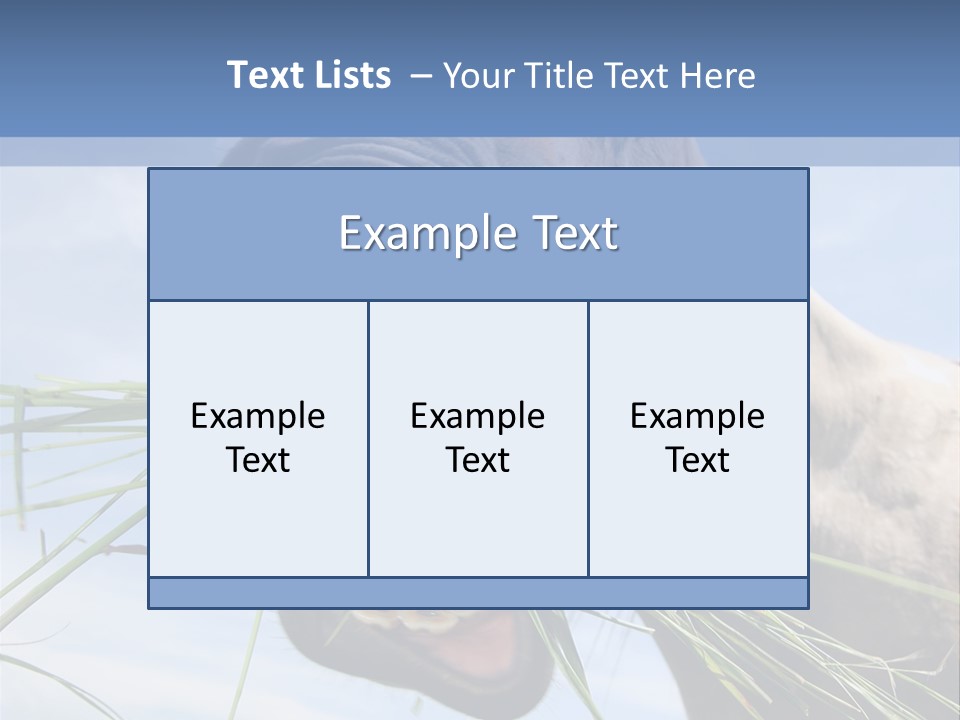 A Horse Is Eating Grass In A Field PowerPoint Template