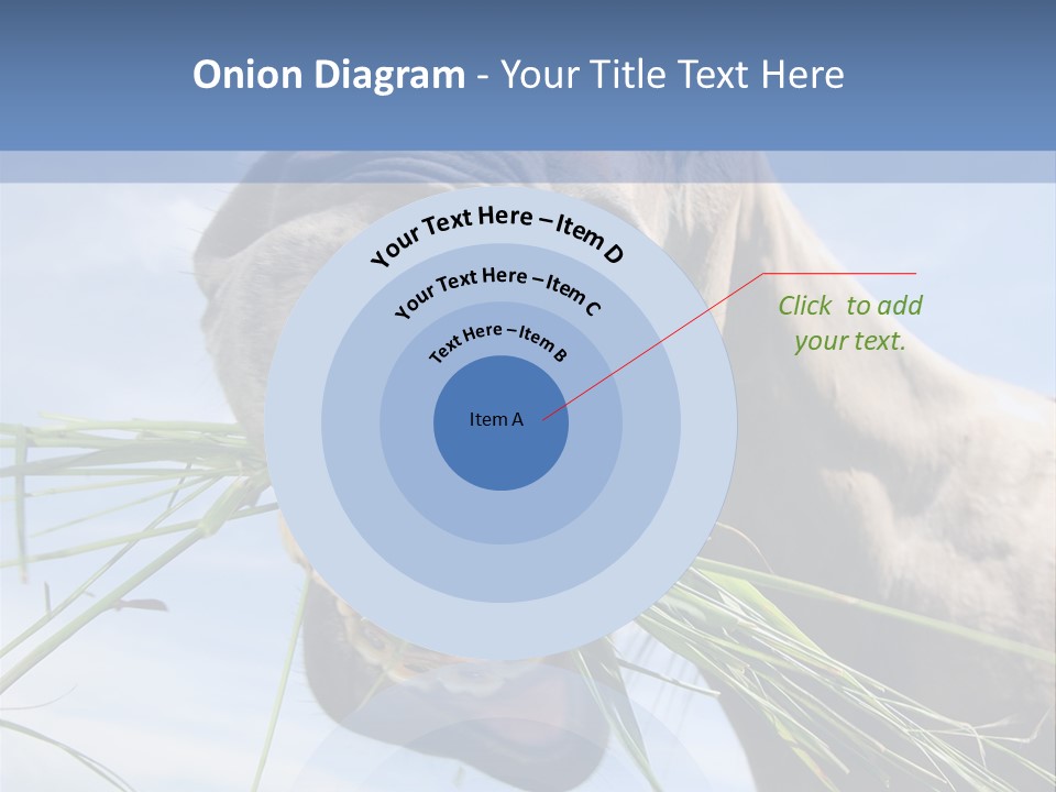 A Horse Is Eating Grass In A Field PowerPoint Template