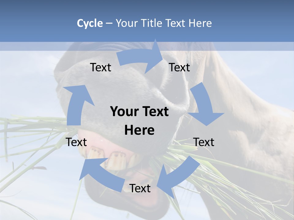 A Horse Is Eating Grass In A Field PowerPoint Template