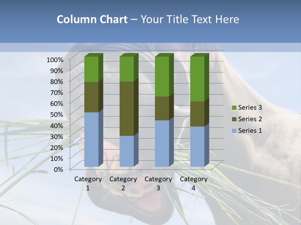 A Horse Is Eating Grass In A Field PowerPoint Template