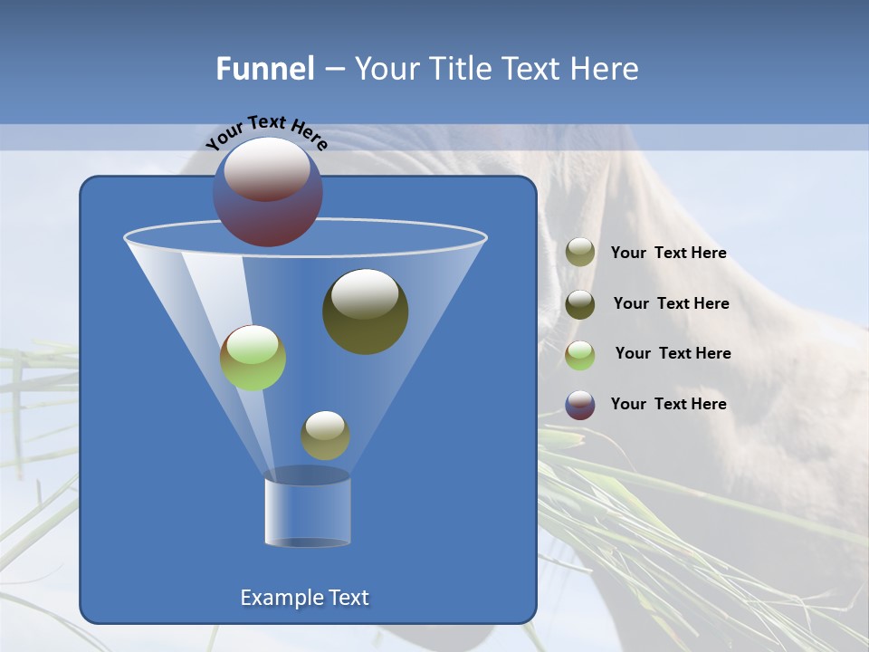 A Horse Is Eating Grass In A Field PowerPoint Template
