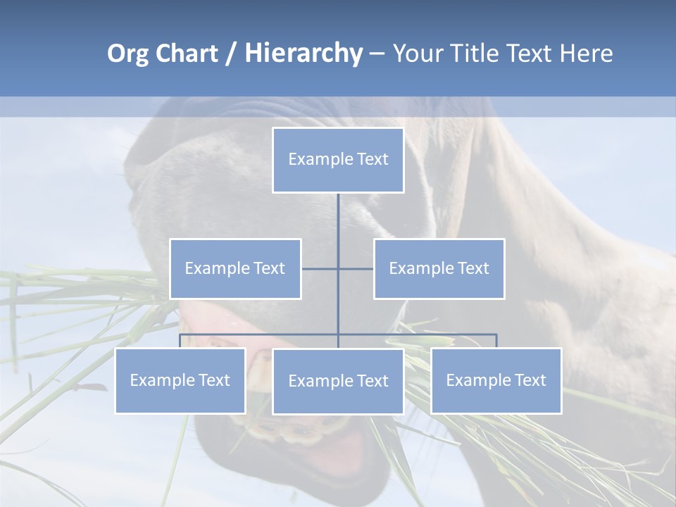 A Horse Is Eating Grass In A Field PowerPoint Template