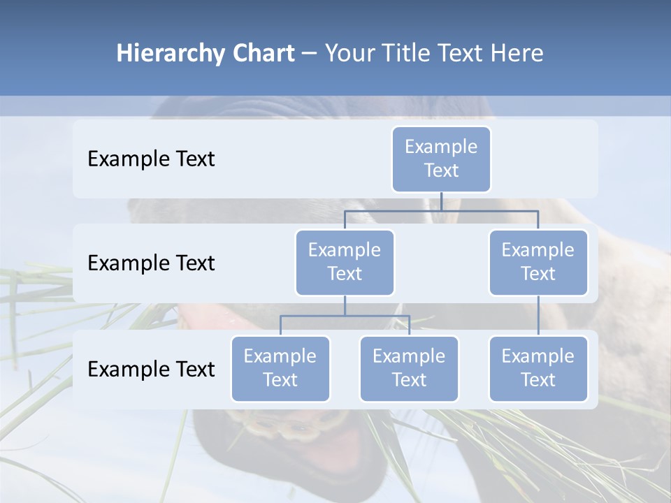 A Horse Is Eating Grass In A Field PowerPoint Template